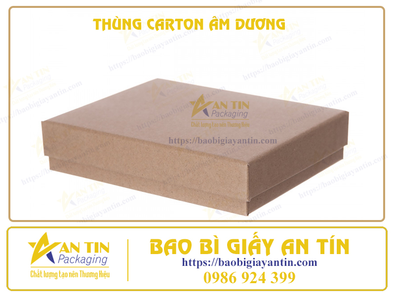 THÙNG CARTON ÂM DƯƠNG
