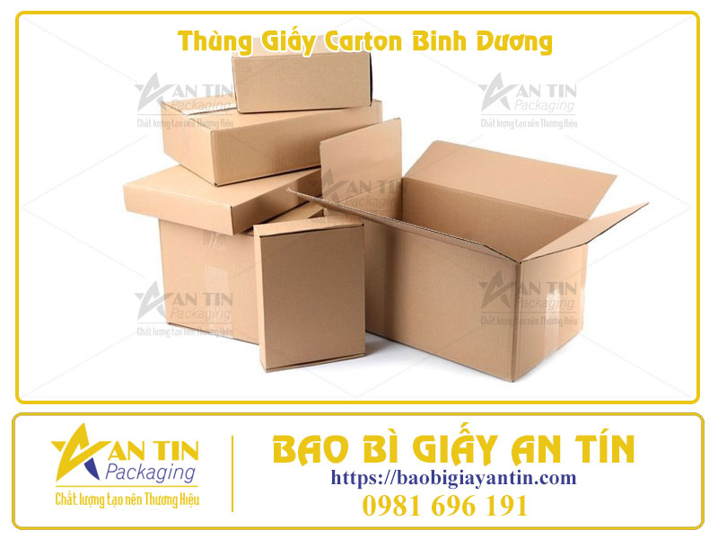 Thùng Carton Bình Dương Giải pháp bao bì toàn diện, dẫn đầu thị trường 2025