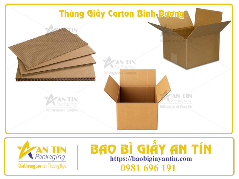 Thùng Carton Bình Dương Giải pháp bao bì toàn diện, dẫn đầu thị trường 2025
