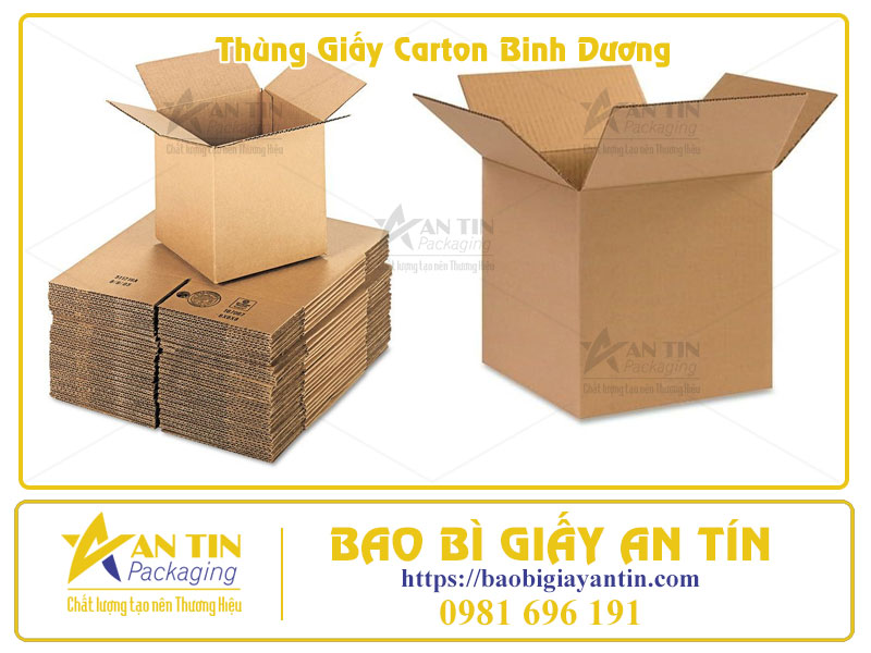 Thùng Carton Bình Dương Giải pháp bao bì toàn diện, dẫn đầu thị trường 2025