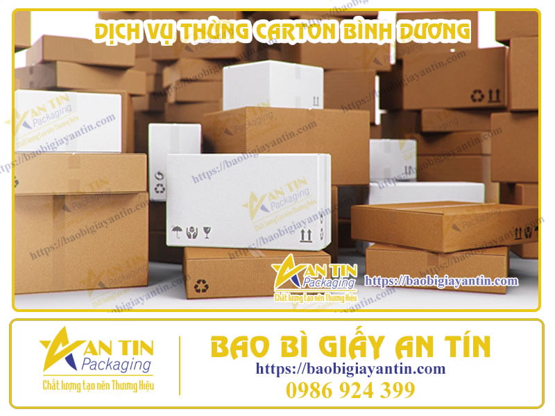 Thùng Carton Đa Dạng - Dịch Vụ Tận Tâm Tại Bình Dương: Đáp Ứng Mọi Nhu Cầu Đóng Gói Của Bạn