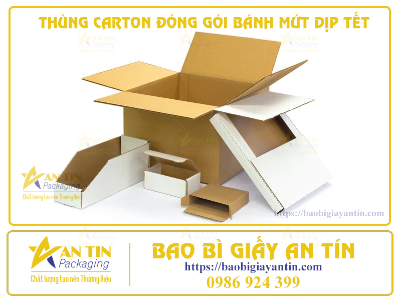 PHÂN LOẠI MẪU THÙNG CARTON ĐÓNG GÓI BÁNH MỨT DỊP TẾT