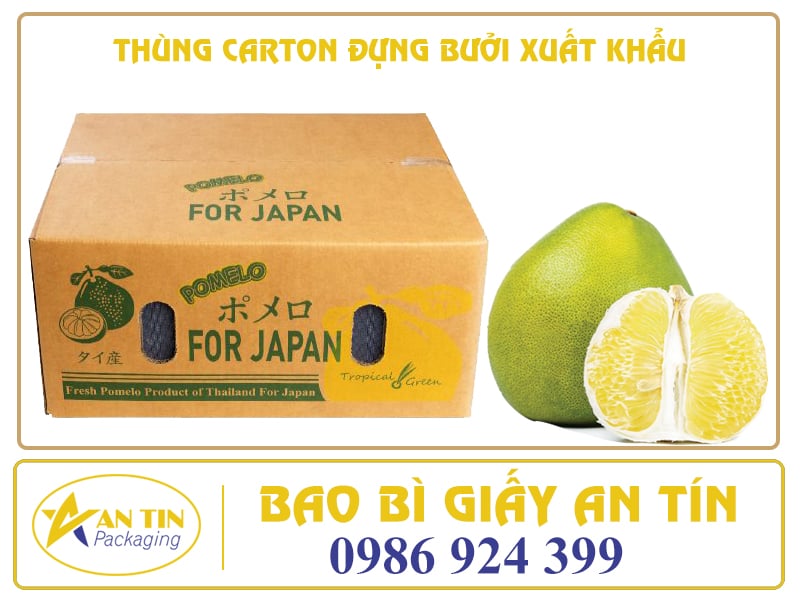 THÙNG CARTON ĐỰNG BƯỞI XUẤT KHẨU