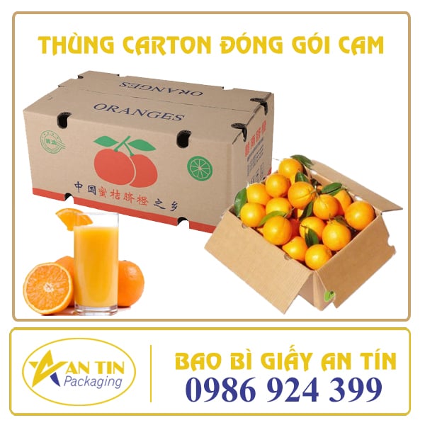 Thùng carton đóng gói cam