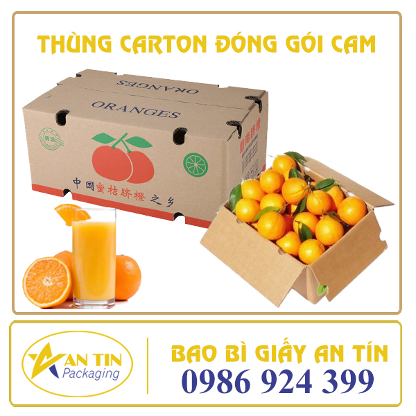 THÙNG CARTON ĐÓNG GÓI CAM