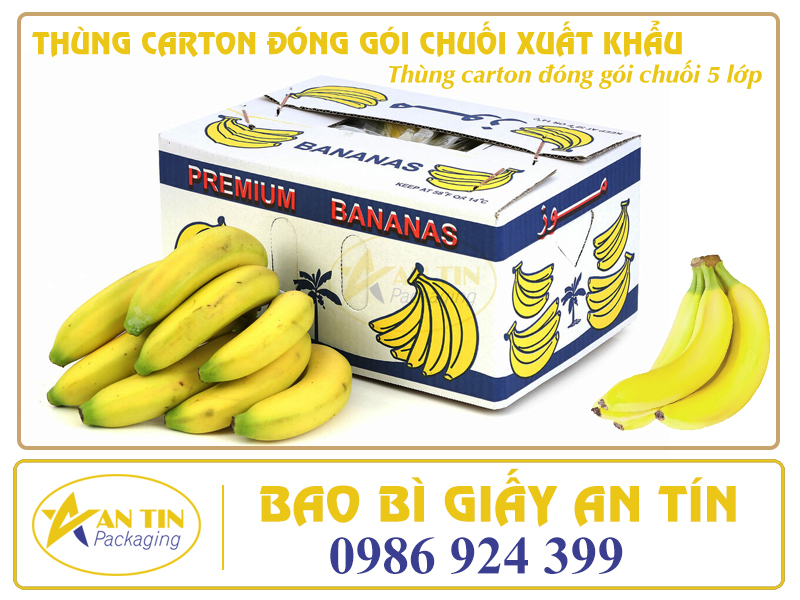 TÌM THÙNG ĐÓNG GÓI CHUỐI ĐÂU XA – CÓ NGAY ĐÂY AN TÍN