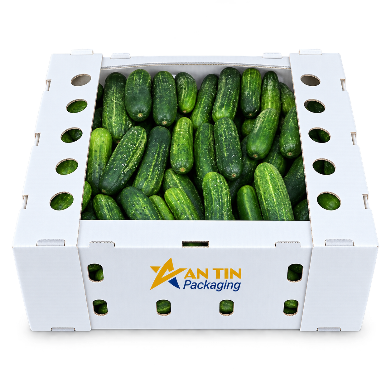 thung-carton-dong-goi-dua-leo-xuat-khau-an-tin