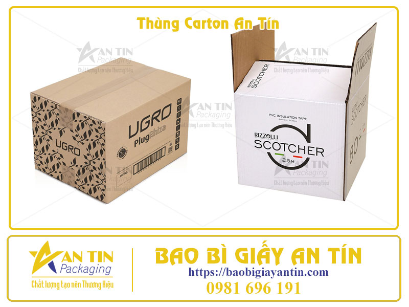 Thùng Carton Đóng Gói Hàng Hóa Giải Pháp Tối Ưu Từ A-Z Cùng Bao Bì Giấy An Tín