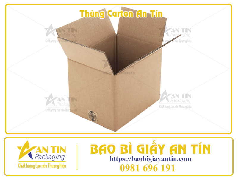 Thùng Carton Đóng Gói Hàng Hóa Giải Pháp Tối Ưu Từ A-Z Cùng Bao Bì Giấy An Tín