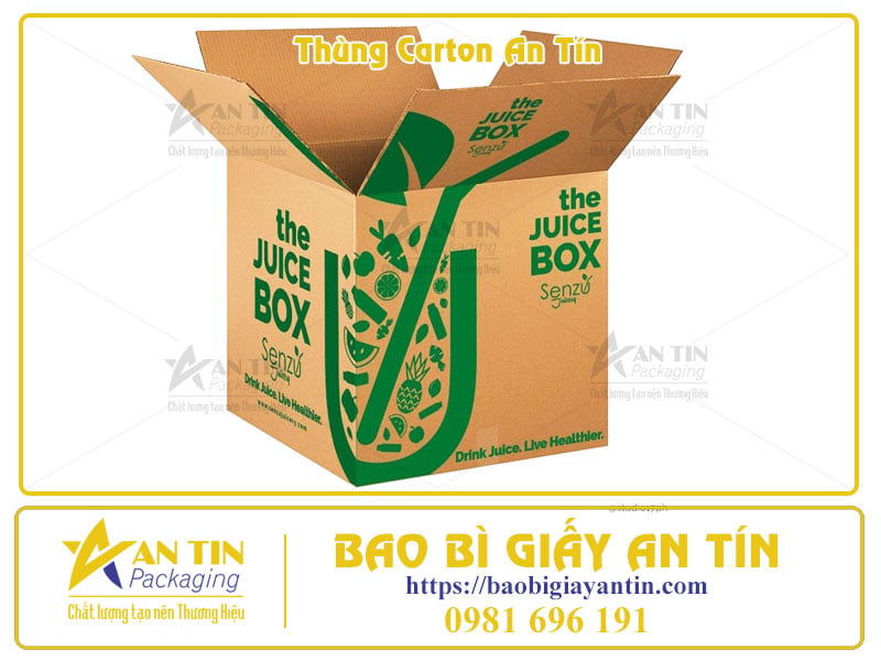 Thùng Carton Đóng Gói Hàng Hóa Giải Pháp Tối Ưu Từ A-Z Cùng Bao Bì Giấy An Tín