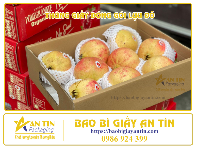 4 LƯU Ý QUAN TRỌNG KHI ĐẶT MUA THÙNG GIẤY ĐÓNG GÓI LỰU ĐỎ