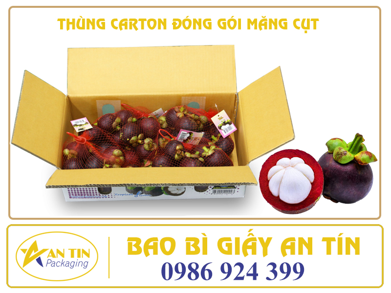 IN THÙNG CARTON ĐÓNG GÓI MĂNG CỤT GIÁ TỐT