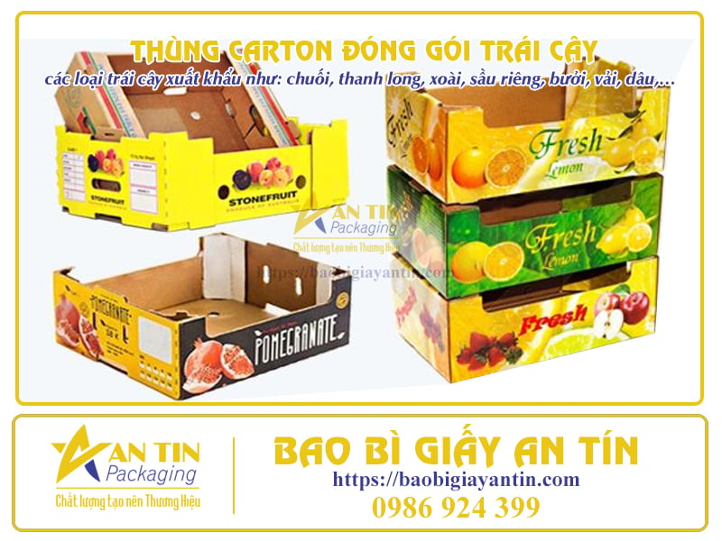 Thùng carton đóng gói trái cây An Tín