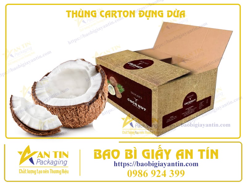 THÙNG CARTON ĐỰNG DỪA: BẢO VỆ DỪA NGON NHƯNG KHÔNG THỂ GIẤU ĐƯỢC SỰ ‘CÓ DUYÊN’!