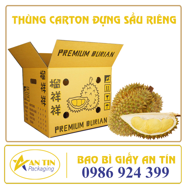 THÙNG CARTON ĐỰNG SẦU RIÊNG