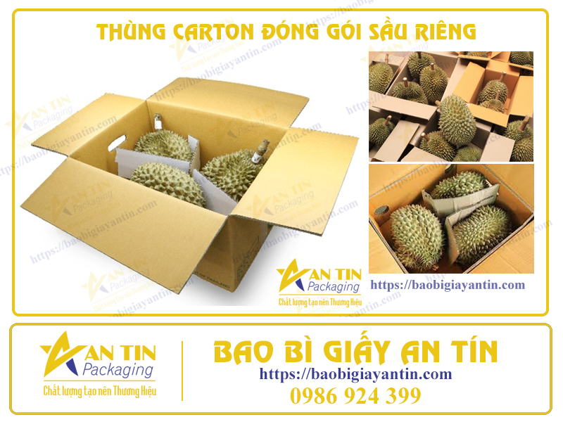 thung-carton-dung-sau-rieng-an-tin-binh-duong-1