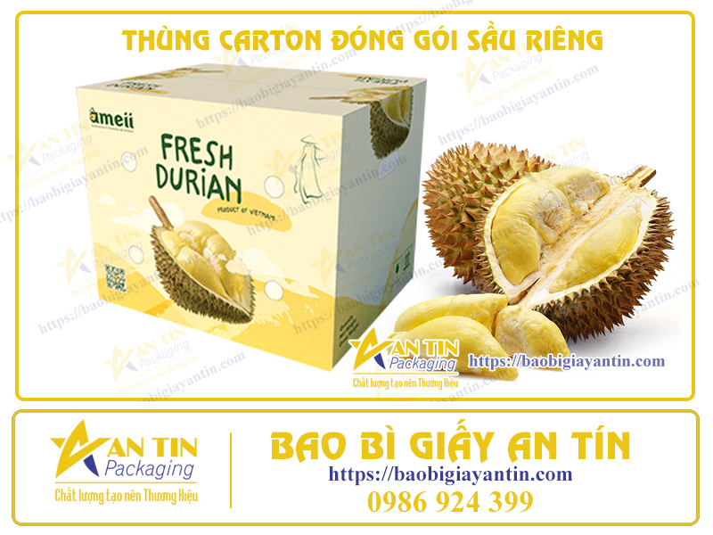 thung-carton-dung-sau-rieng-chuyen-nghiep-an-tin-binh-duong-1