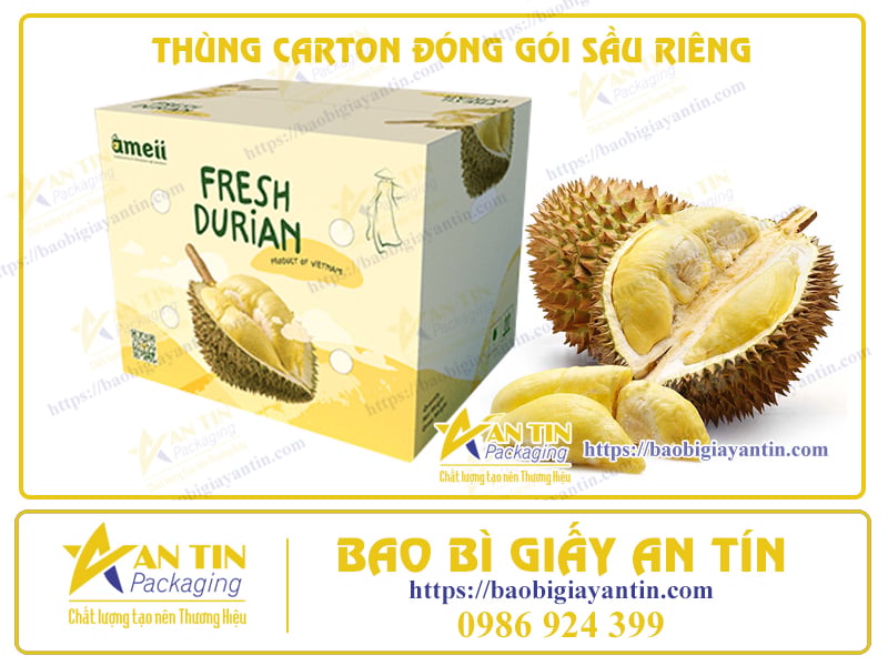 Thùng carton đựng Sầu Riêng chuyên nghiệp An Tín Bình Dương