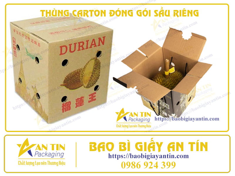 thung-carton-dung-sau-rieng-da-dang-an-tin-binh-duong-1-1