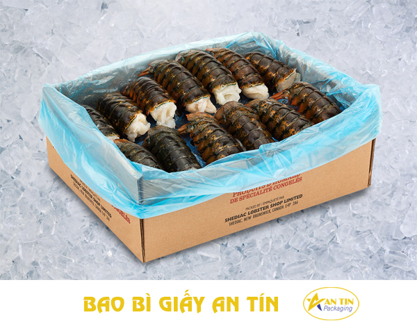 thung-carton-dung-tom-8