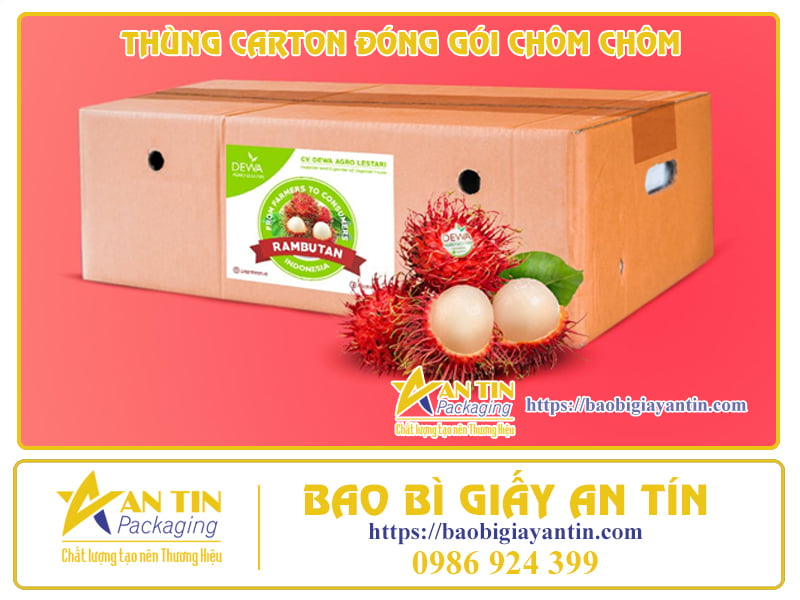 thung-carton-giai-phap-chat-luong-cho-viec-dong-goi-chom-chom-01-1 Thùng Carton - Giải Pháp Chất Lượng Cho Việc Đóng Gói Chôm Chôm