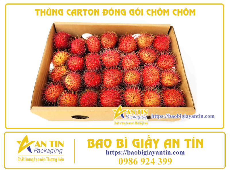 thung-carton-giai-phap-chat-luong-cho-viec-dong-goi-chom-chom-02 Thùng Carton - Giải Pháp Chất Lượng Cho Việc Đóng Gói Chôm Chôm