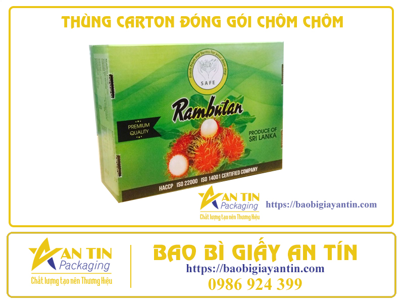 thung-carton-giai-phap-chat-luong-cho-viec-dong-goi-chom-chom-03 Thùng Carton - Giải Pháp Chất Lượng Cho Việc Đóng Gói Chôm Chôm