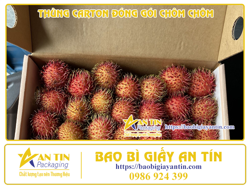 thung-carton-giai-phap-chat-luong-cho-viec-dong-goi-chom-chom-04 Thùng Carton - Giải Pháp Chất Lượng Cho Việc Đóng Gói Chôm Chôm