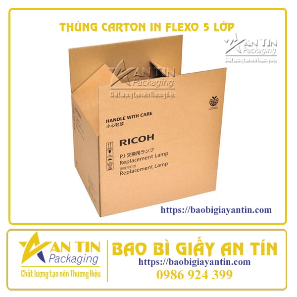 Thùng carton in Flexo 5 Lớp