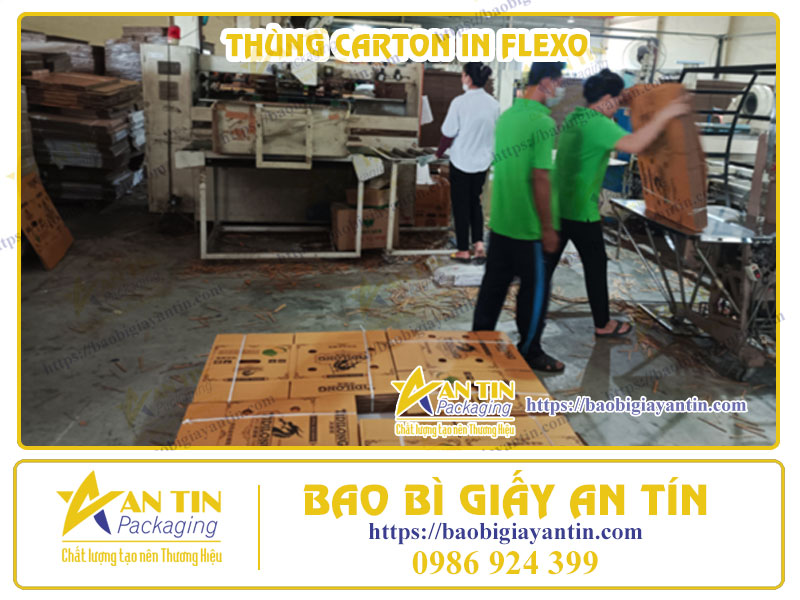 Thùng Carton In Flexo: Lựa Chọn Chuyên Nghiệp Và Tiết Kiệm Chi Phí Từ Bao Bì An Tín