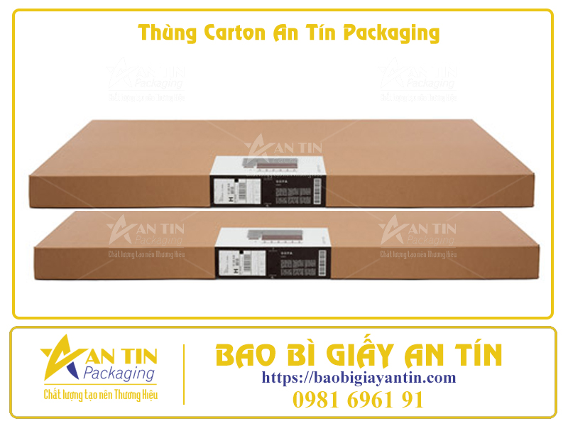 Thùng Carton Lớn Giá Cả Cực Kỳ Hấp Dẫn