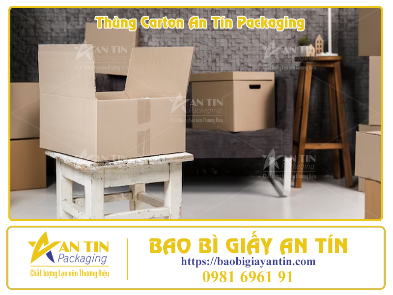 Thùng Carton Lớn Giá Cả Cực Kỳ Hấp Dẫn
