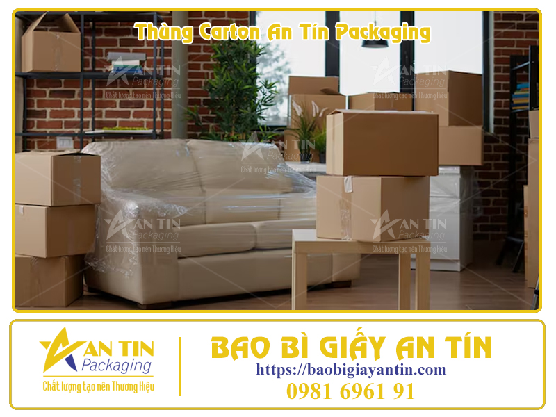 Thùng Carton Lớn Giá Cả Cực Kỳ Hấp Dẫn