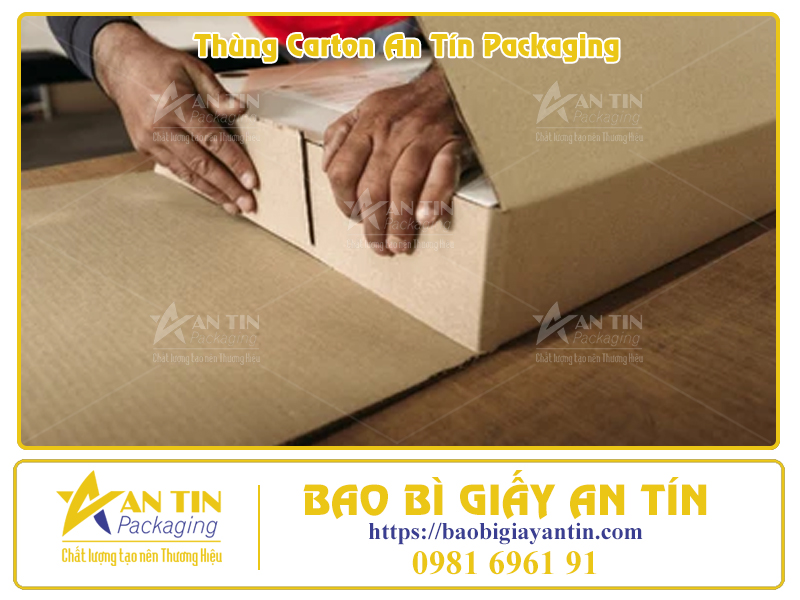 Thùng Carton Lớn Giá Cả Cực Kỳ Hấp Dẫn