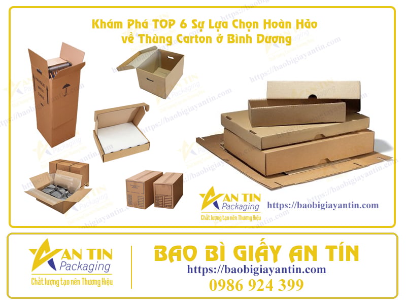 Thùng Carton ở Bình Dương