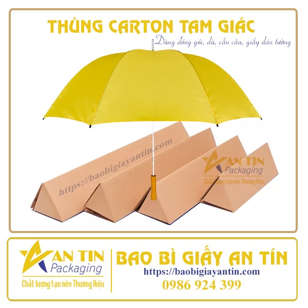 Thùng carton đóng gói ô