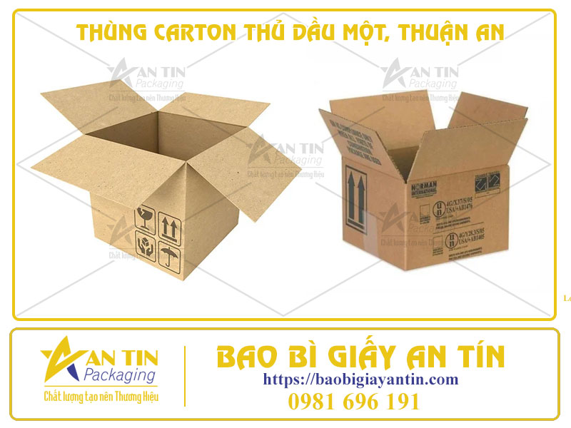 THÙNG CARTON THỦ DẦU MỘT, THUẬN AN – IN ẤN THEO YÊU CẦU, GIAO HÀNG TẬN NƠI