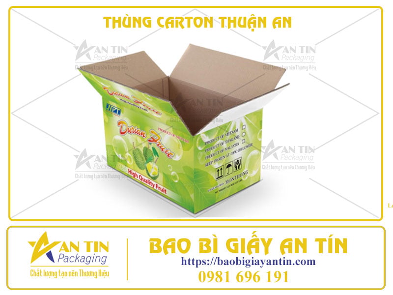 Thùng Carton Thuận An - Đón Đầu Xu Hướng Năm 2024, Nâng Tầm Đẳng Cấp Thương Hiệu