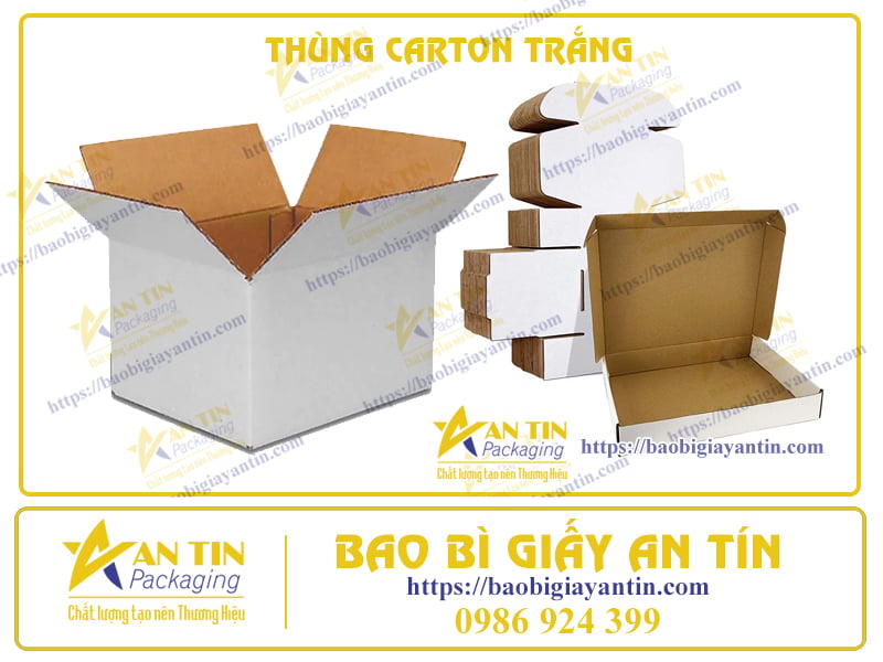 THÙNG CARTON TRẮNG: GIẢI PHÁP ĐÓNG GÓI LINH HOẠT VÀ BỀN VỮNG CHO NGÀNH CÔNG NGHIỆP