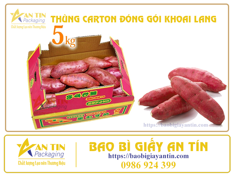 thung-dong-goi-khoai-lang-an-tin-packaging-1