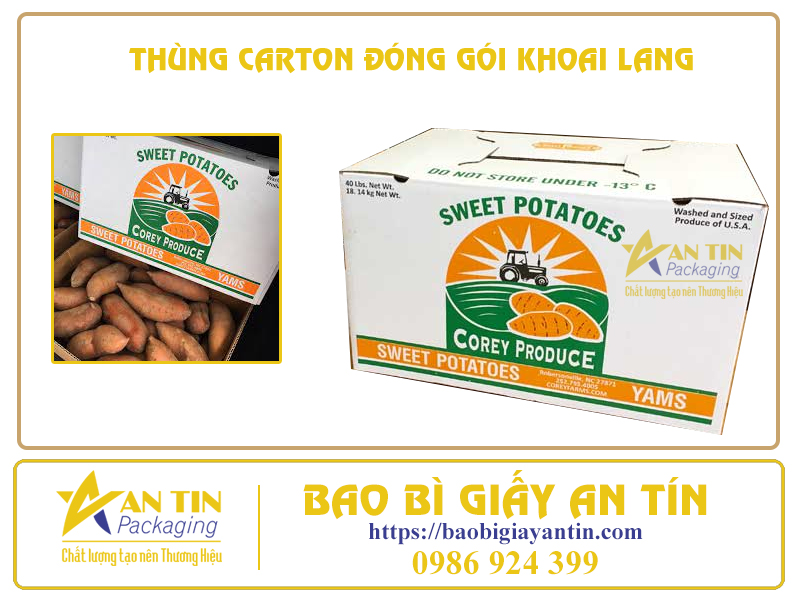 thung-dong-goi-khoai-lang-an-tin-packaging-2