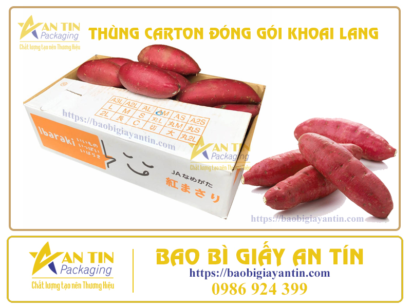 thung-dong-goi-khoai-lang-an-tin-packaging