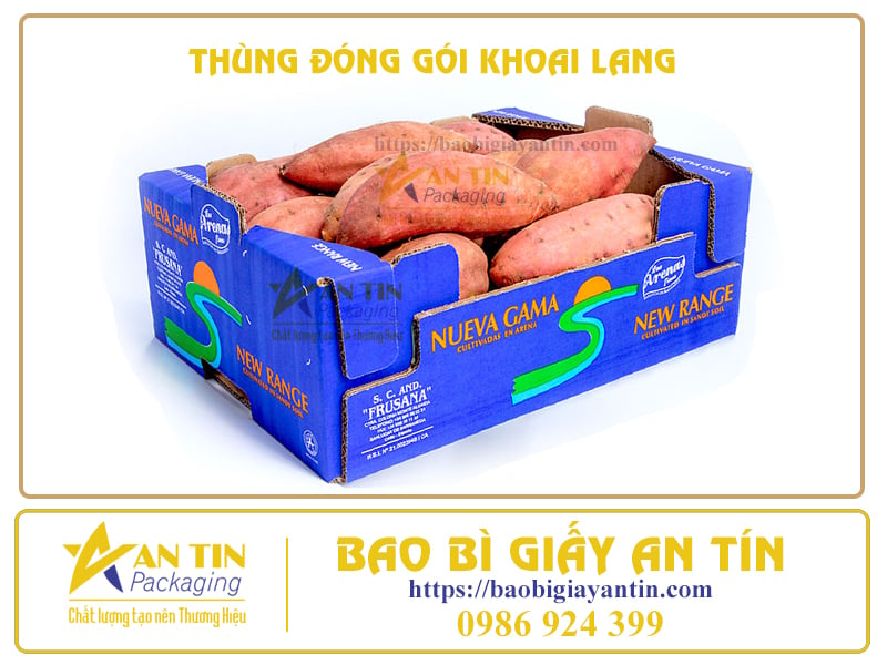 thung-dong-goi-khoai-lang-an-tin Thùng đóng gói Khoai Lang