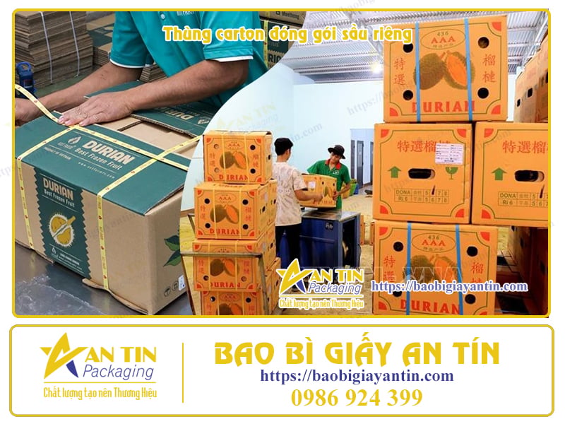 Thùng đóng gói Sầu Riêng Xuất Khẩu
