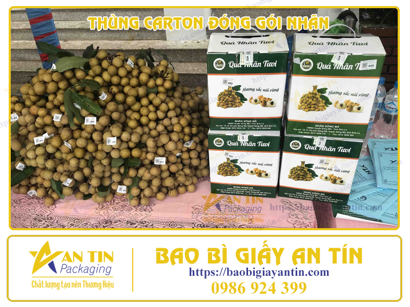 THÙNG CARTON ĐÓNG GÓI NHÃN – GIẢM THIỂU TỐI ĐA RỦI RO VÀ BẢO VỆ SẢN PHẨM