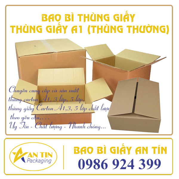 THÙNG CARTON A1