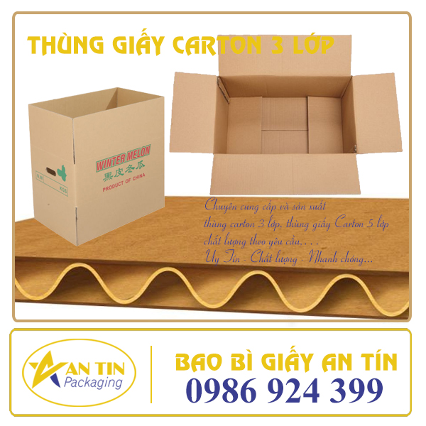thung-giay-carton-3-lop-an-tin