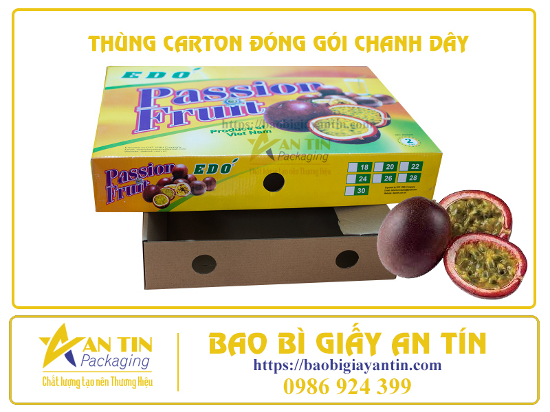 TOP 3 LƯU Ý KHI LỰA CHỌN KÍCH THƯỚC THÙNG CARTON ĐÓNG GÓI CHANH DÂY