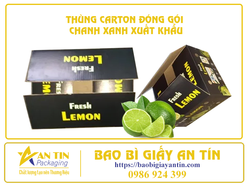 TÌM HIỂU QUY CÁCH THÙNG CARTON ĐÓNG GÓI CHANH XANH XUẤT KHẨU