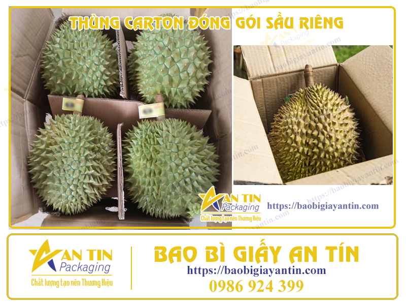 thung-giay-carton-dong-goi-sau-rieng-an-tin-binh-duong-1